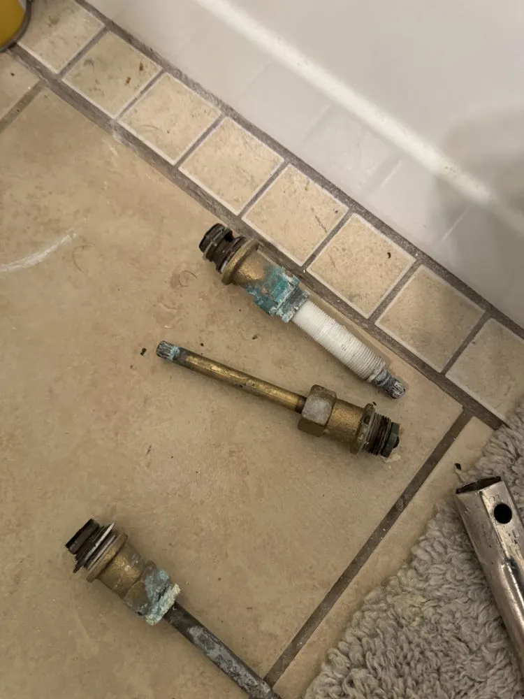 Slide of Bigg Tree Rooter & Plumbing