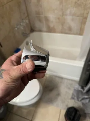 Bigg Tree Rooter & Plumbing Logo