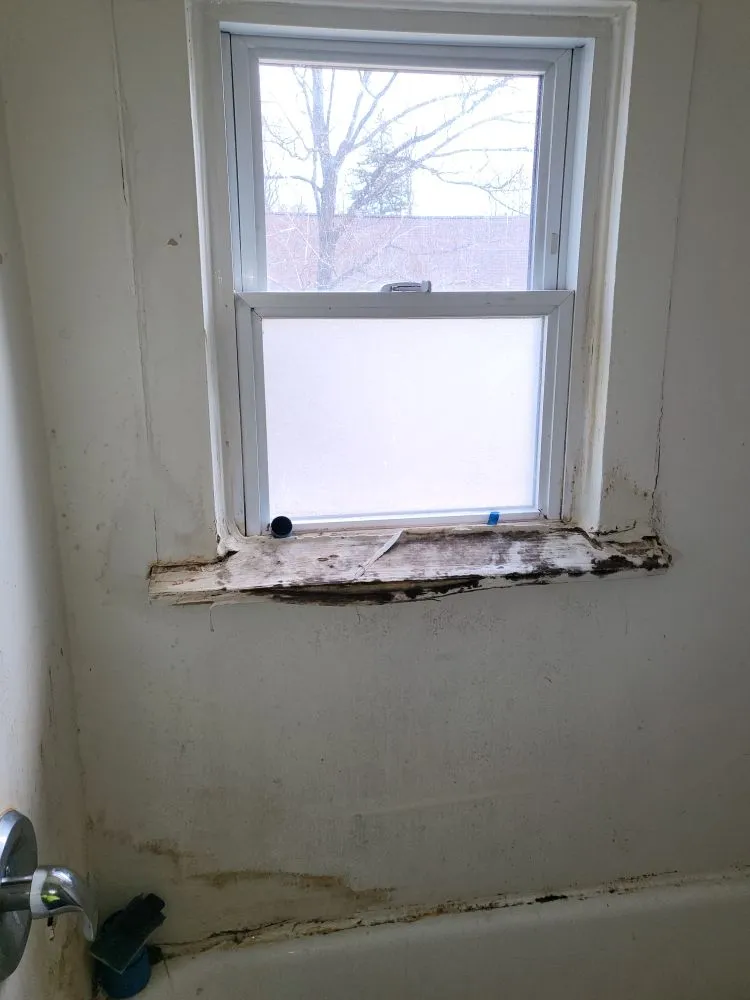 Emergency emergency plumbing service in St. Louis, MI - Billings Maintenance & Remodeling