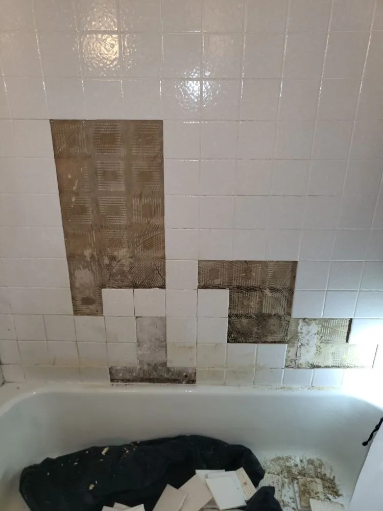 Emergency leak detection for homes in St. Louis, MI by Billings Maintenance & Remodeling