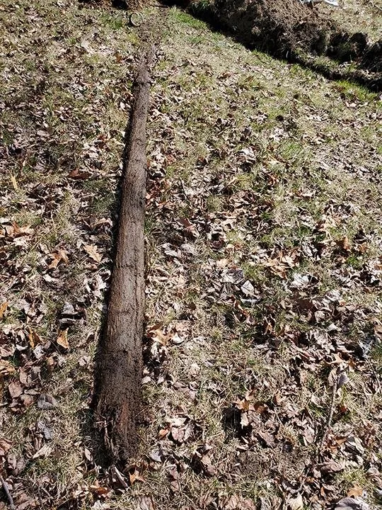 Slide of Bill's Sewer Service