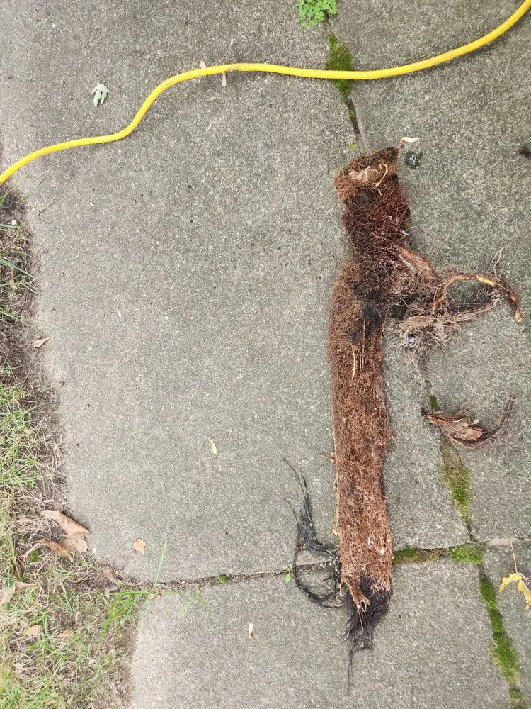 Slide of Bill's Sewer Service