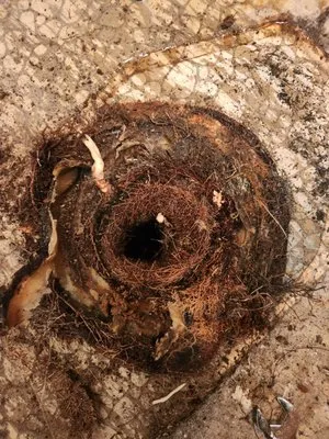 Bill's Sewer Service