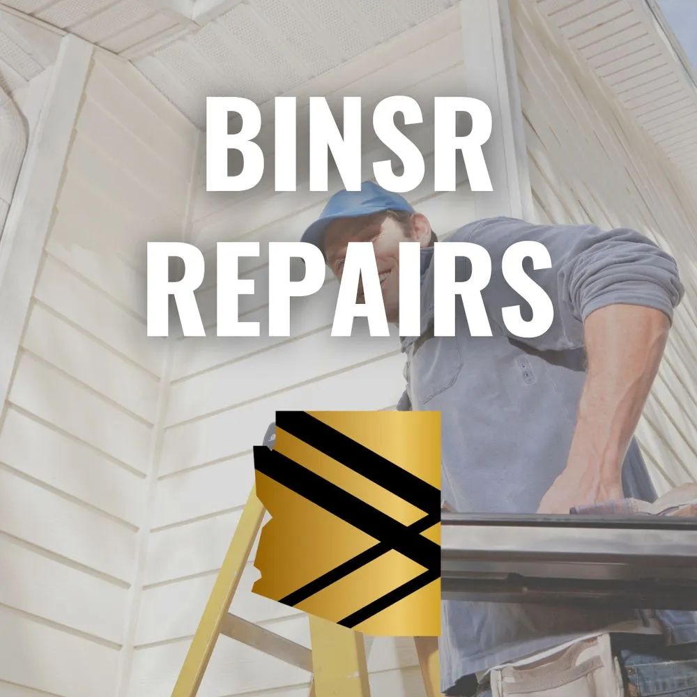 Slide of BINSR Buddies