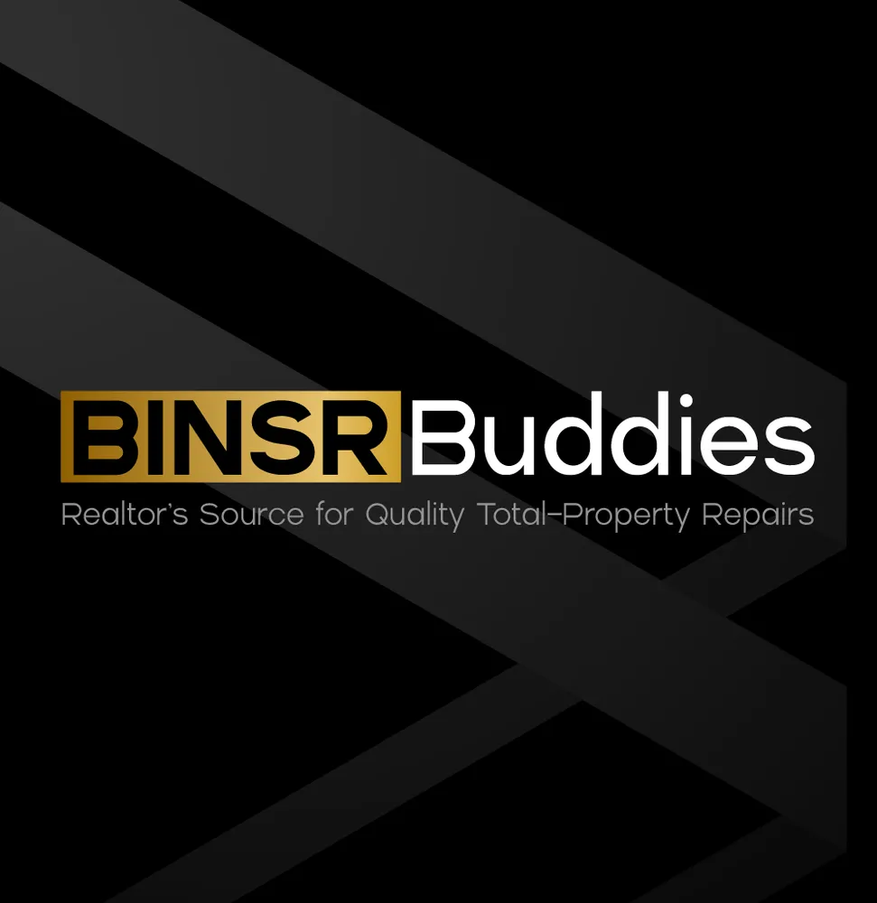 Slide of BINSR Buddies
