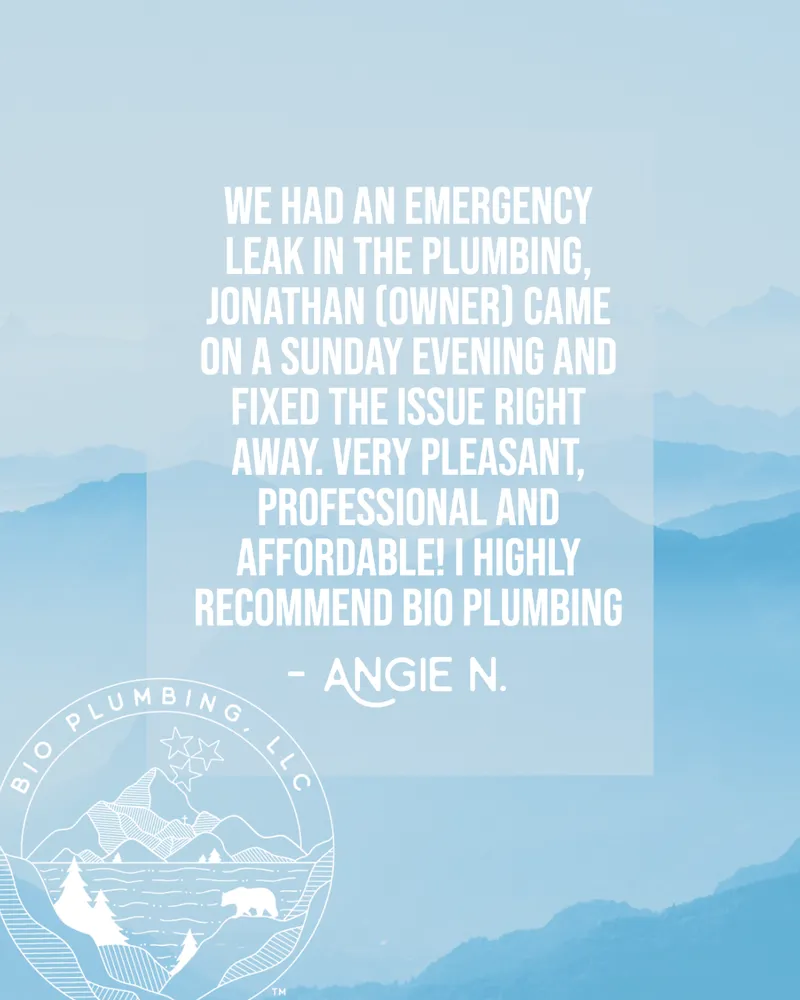 Slide of Bio Plumbing