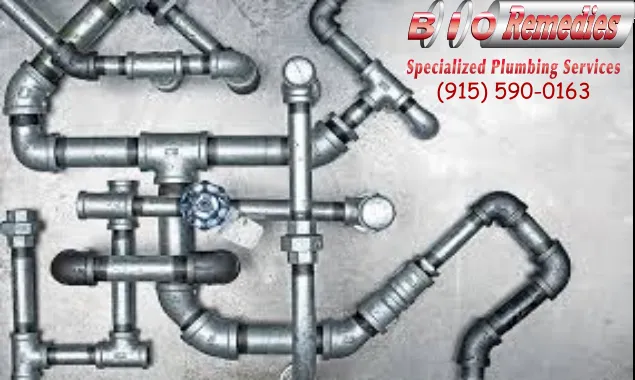 Slide of Bio Remedies