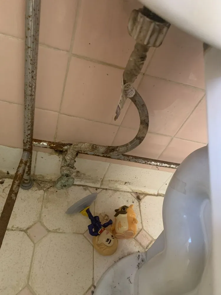 Slide of Bird Dog Plumbing