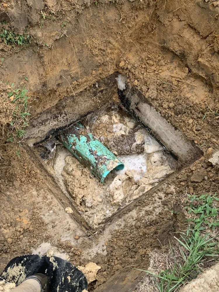 Slide of Bird Dog Plumbing