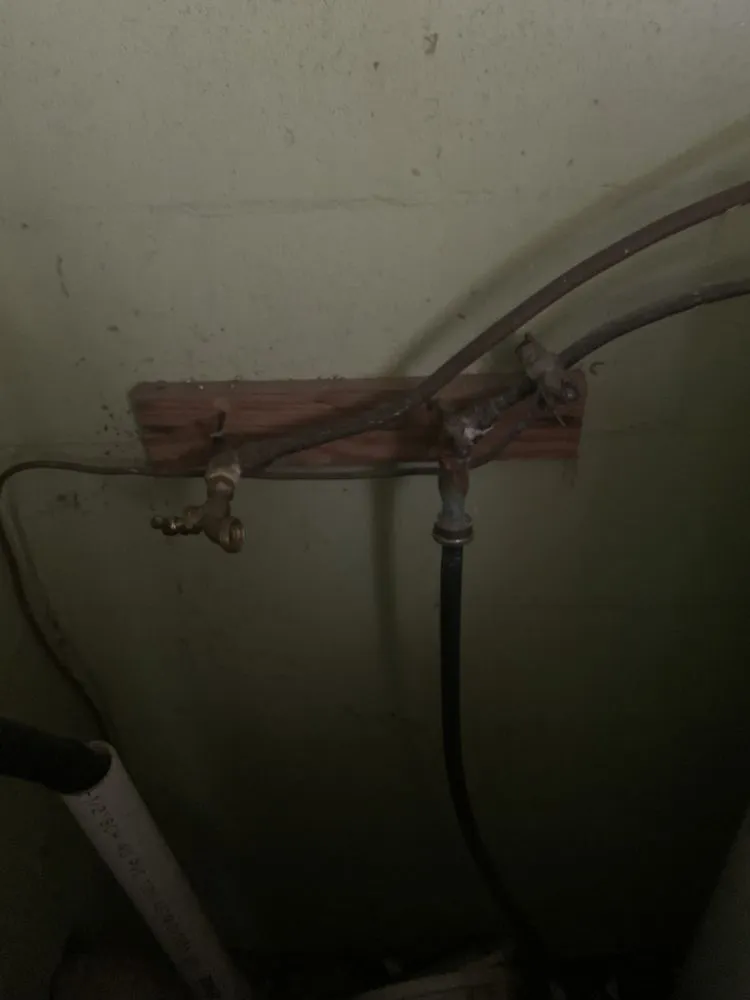 Slide of Bird Dog Plumbing