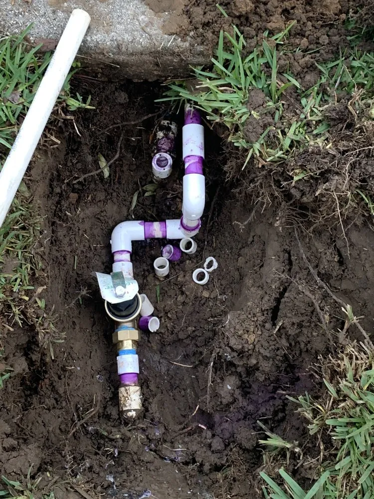 Slide of Bird Dog Plumbing