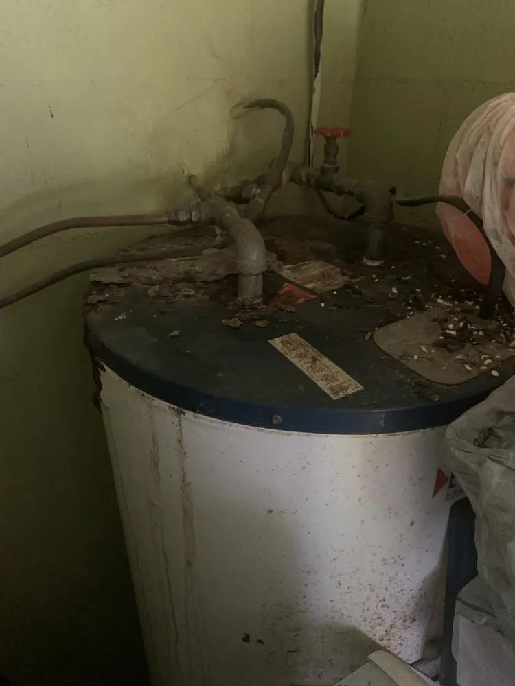 Slide of Bird Dog Plumbing