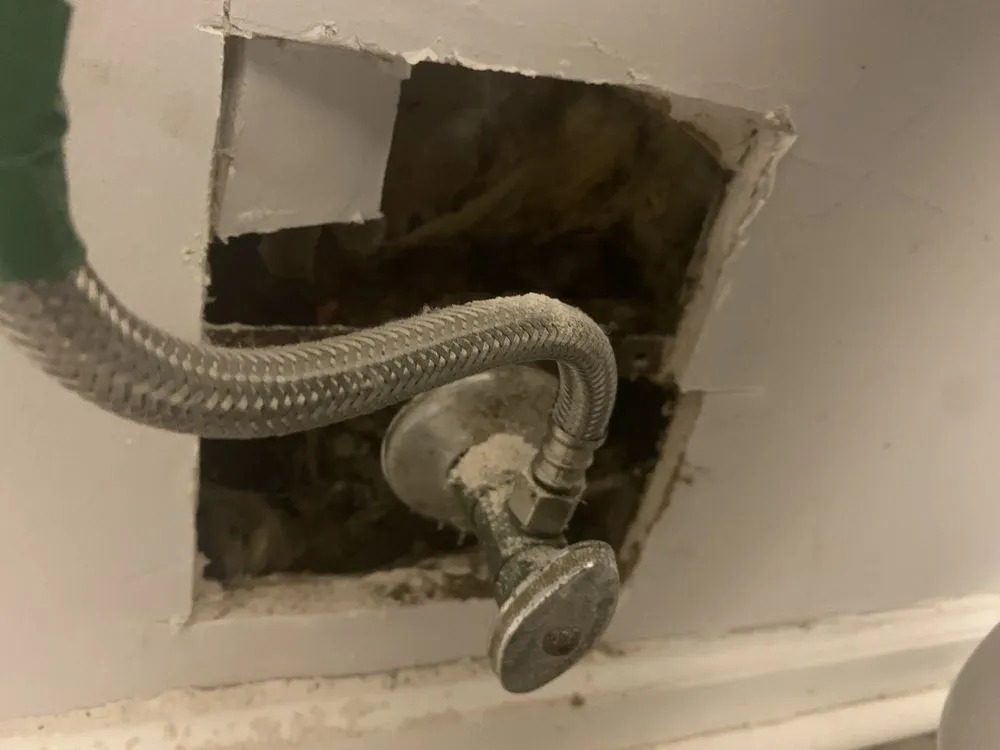 Reliable drain cleaning experts serving Valdosta, GA - Bird Dog Plumbing