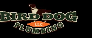Slide of Birddog Plumbing