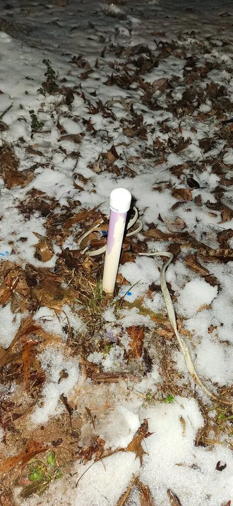 Slide of Birditt Plumbing