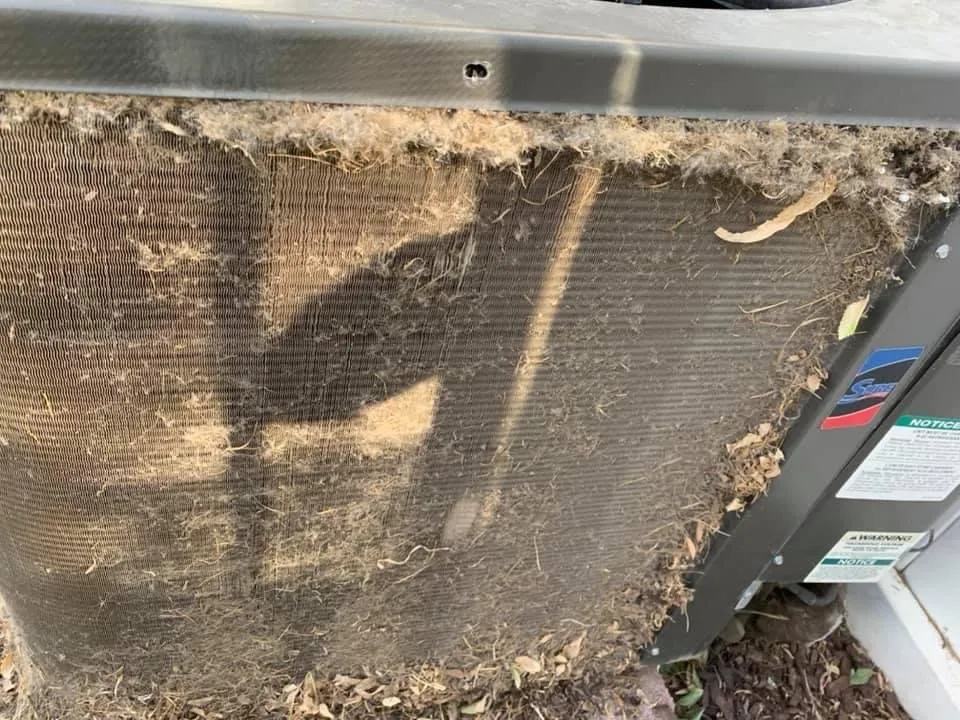 Slide of Birds Handyman services