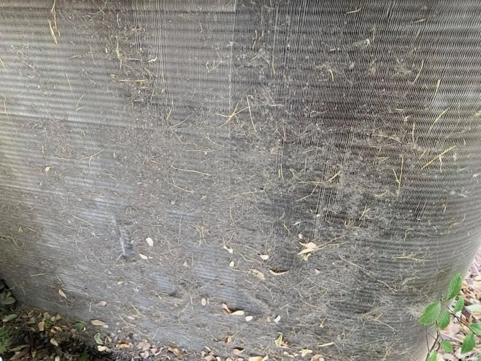 Slide of Birds Handyman services