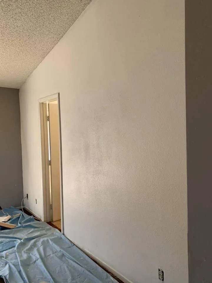 Slide of Birds Handyman services