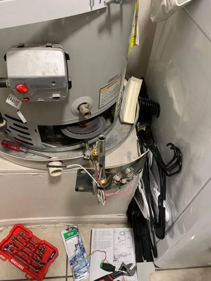 Slide of Birds Handyman services