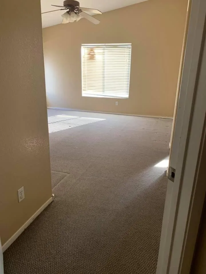 Slide of Birds Handyman services