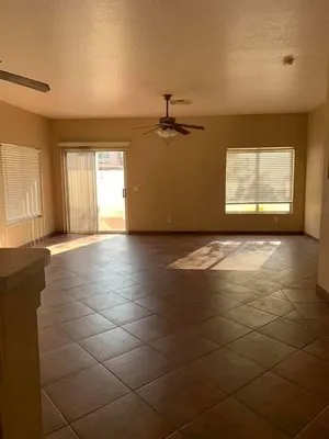 Birds Handyman services