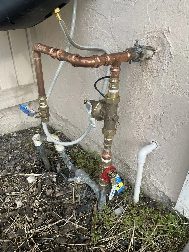 Slide of Bird's Home Services