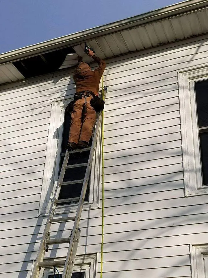 Slide of Bisping Contracting