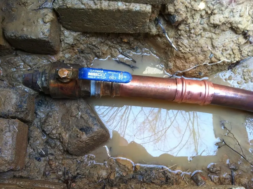 Slide of Bizzy Bee Plumbing, Inc