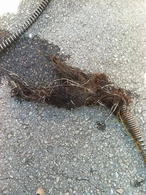 Slide of Bizzy Bee Plumbing, Inc