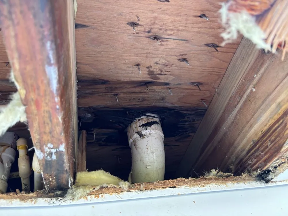 Slide of Bizzy Bee Plumbing