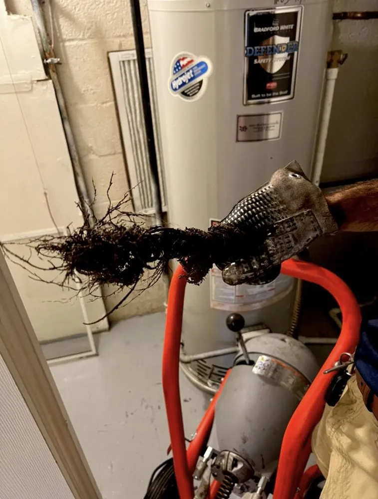 Slide of B.L. James & Son