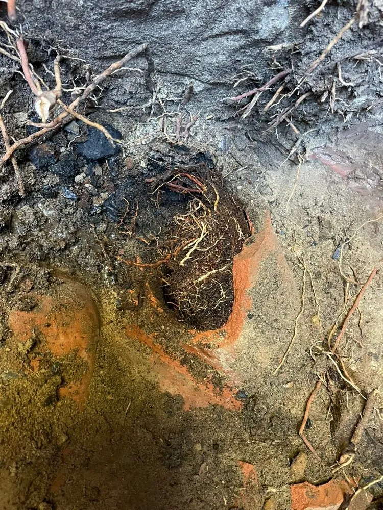 Slide of BLAC Rooter Service