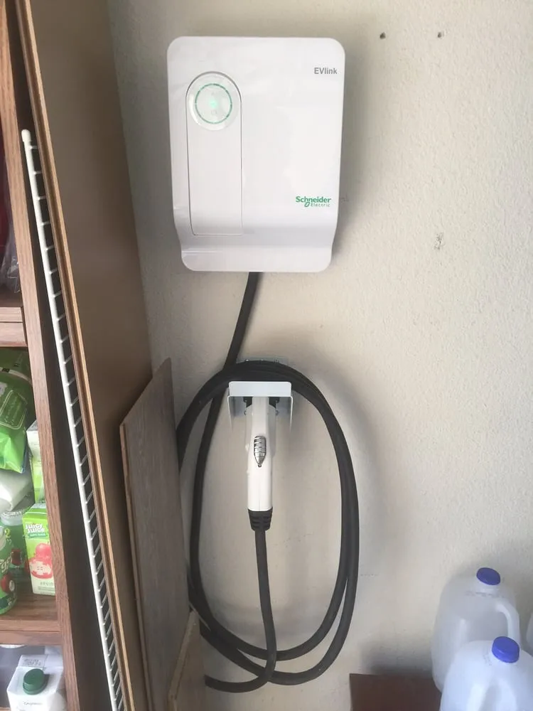 Slide of Black Bean Handyman