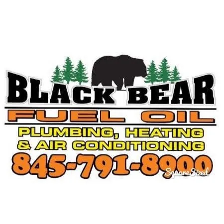 Reliable drain cleaning in Harris, NY by Black Bear Fuel Oil, Plumbing, Heating & Air Conditioning