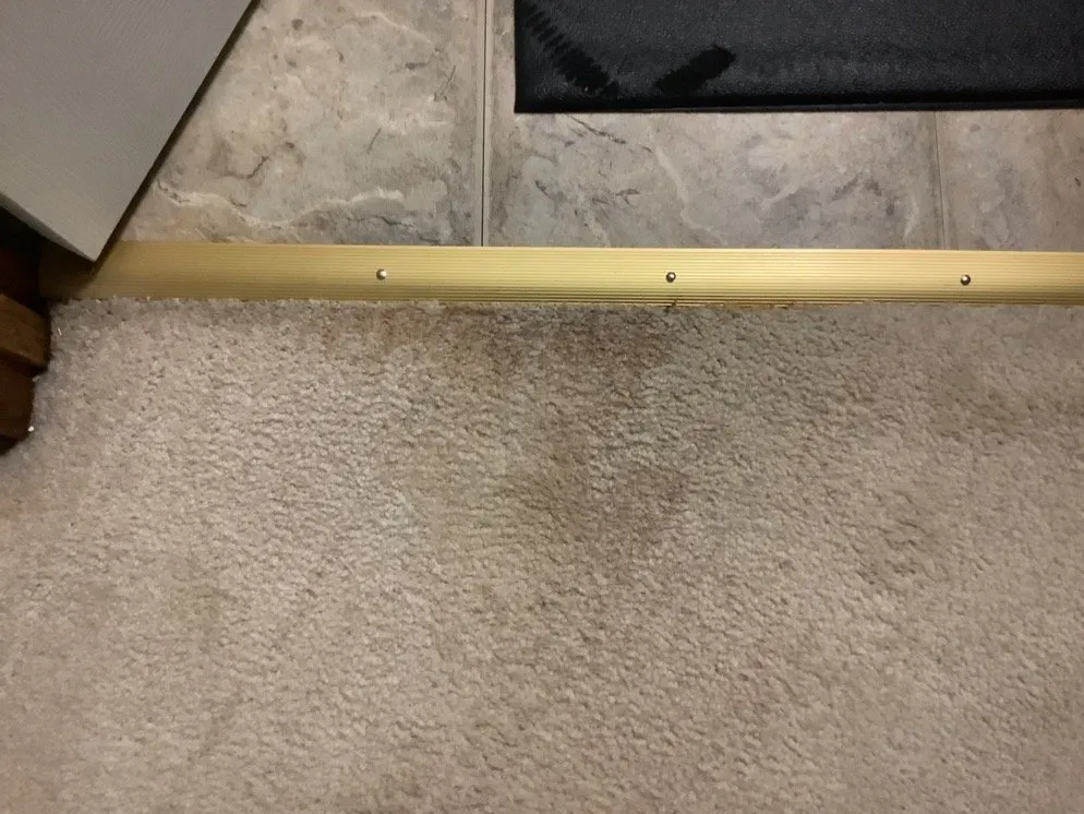 Slide of Black Hills