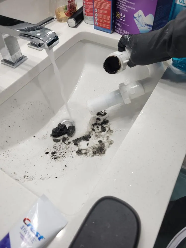 Top-rated emergency plumbing experts serving Tampa, FL - Black Pipes Plumbing