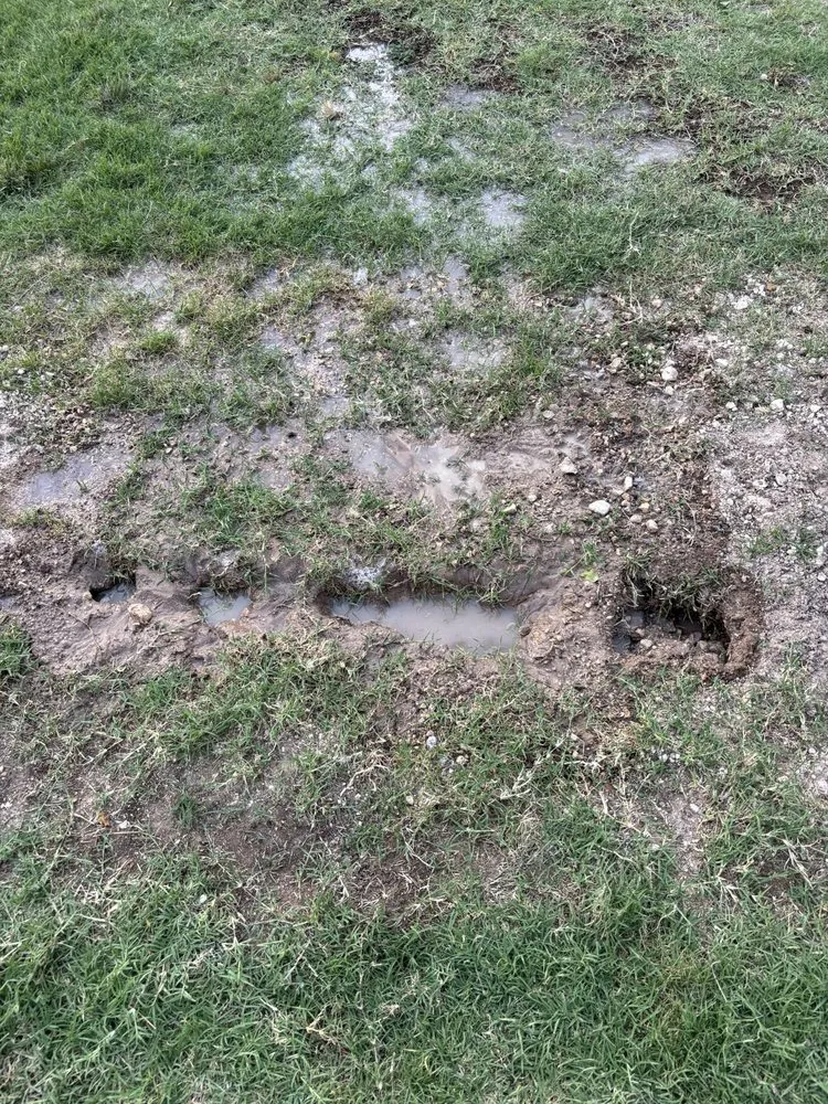 Slide of Black Plumbing - Big Spring