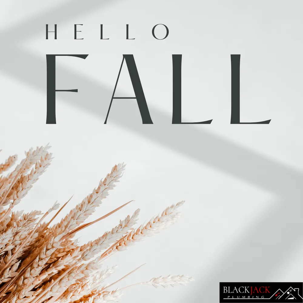 Slide of Blackjack Plumbing