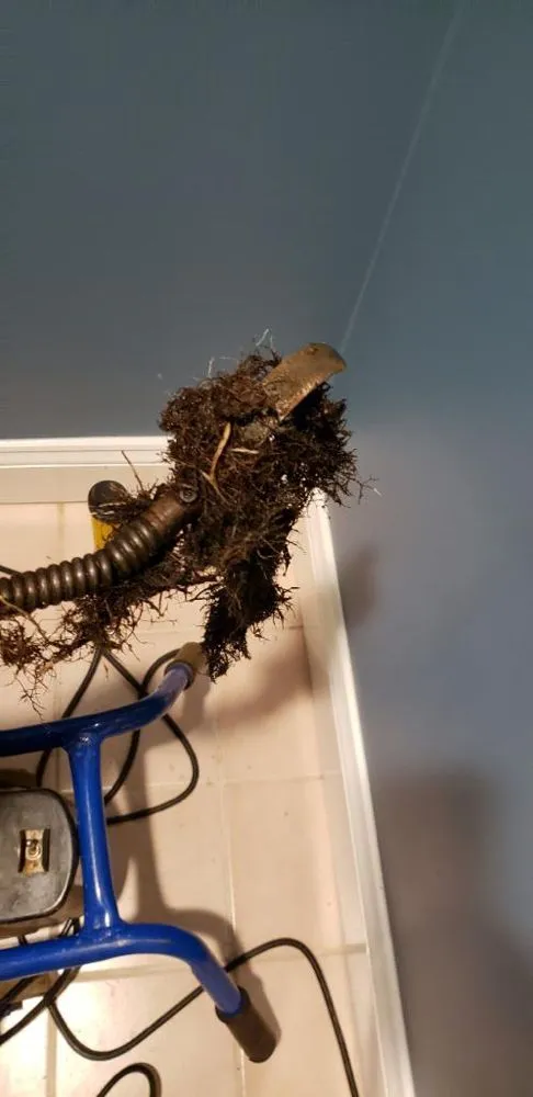 Slide of BlackMario Plumbing Consulting Services