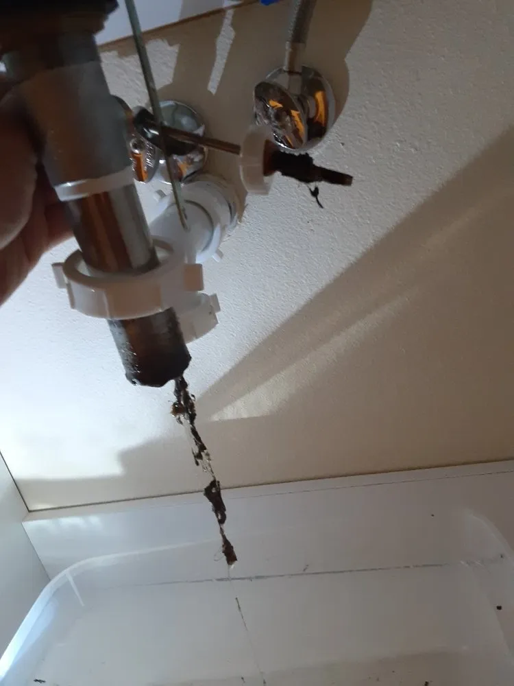 Professional drain cleaning experts serving Atascadero, CA - Blands Handy Home Service and Painting