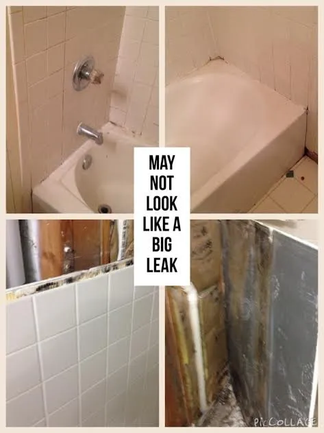 Slide of Blessed Plumbing