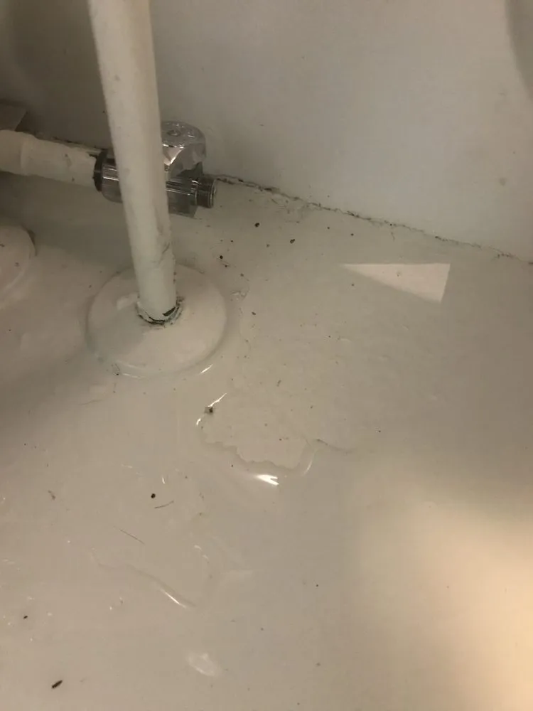 Slide of Blind & Sons