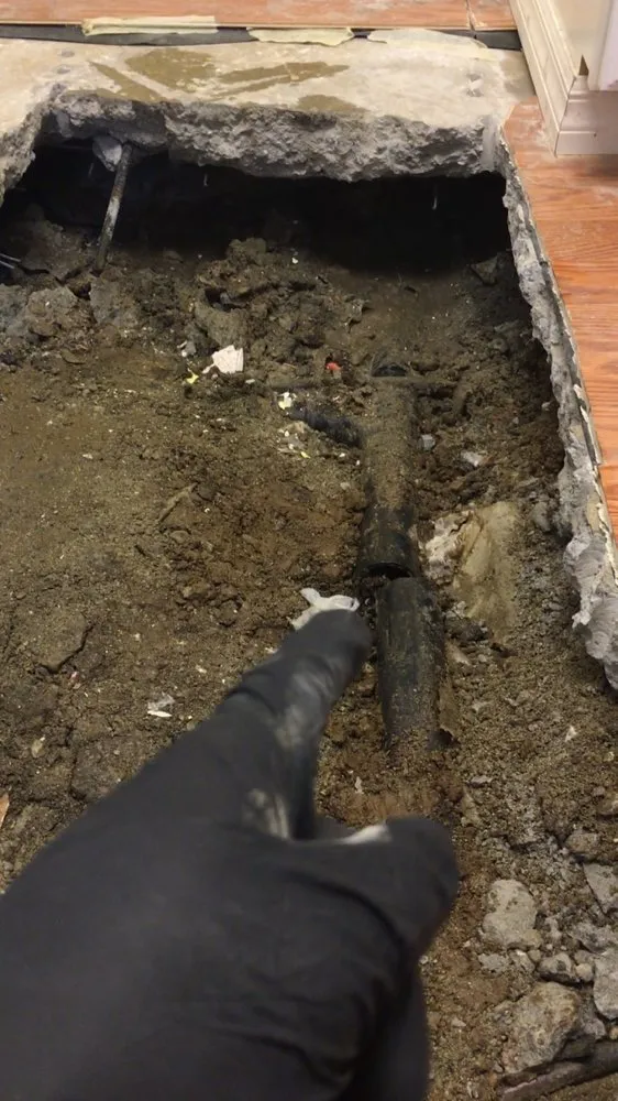 Expert leak detection in Los Angeles, CA by Bloodhound Plumbing Leak Detection