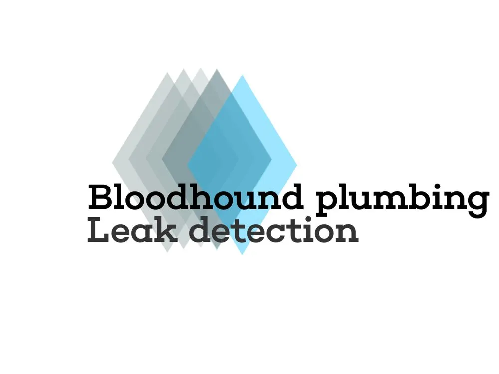 Top-rated leak detection service in Los Angeles, CA - Bloodhound Plumbing Leak Detection