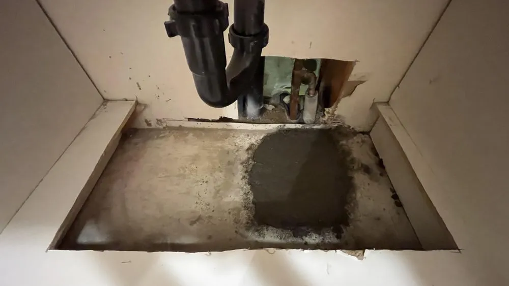 Slide of Bloodhound Plumbing Leak Detection