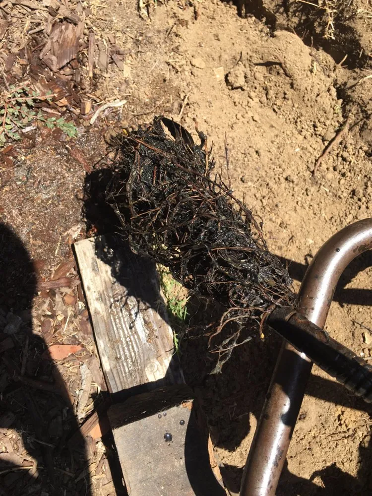 Slide of Bloodhound Plumbing Leak Detection