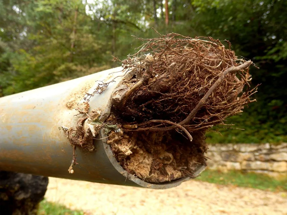 Slide of Bloom Sewer Maintenance