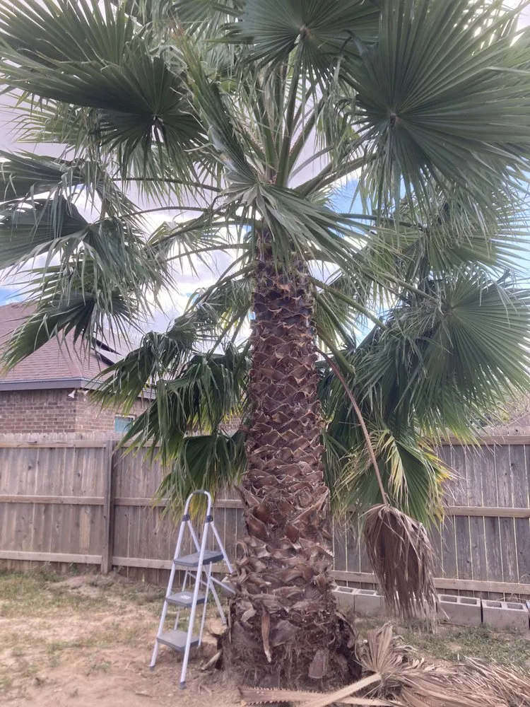 Slide of Blossom Garden Services