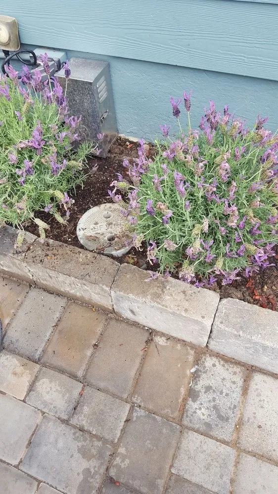 Slide of Blossom Valley Plumbing