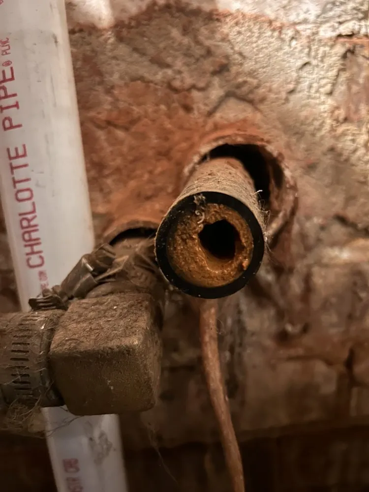 Slide of Blue Chip Home Solutions